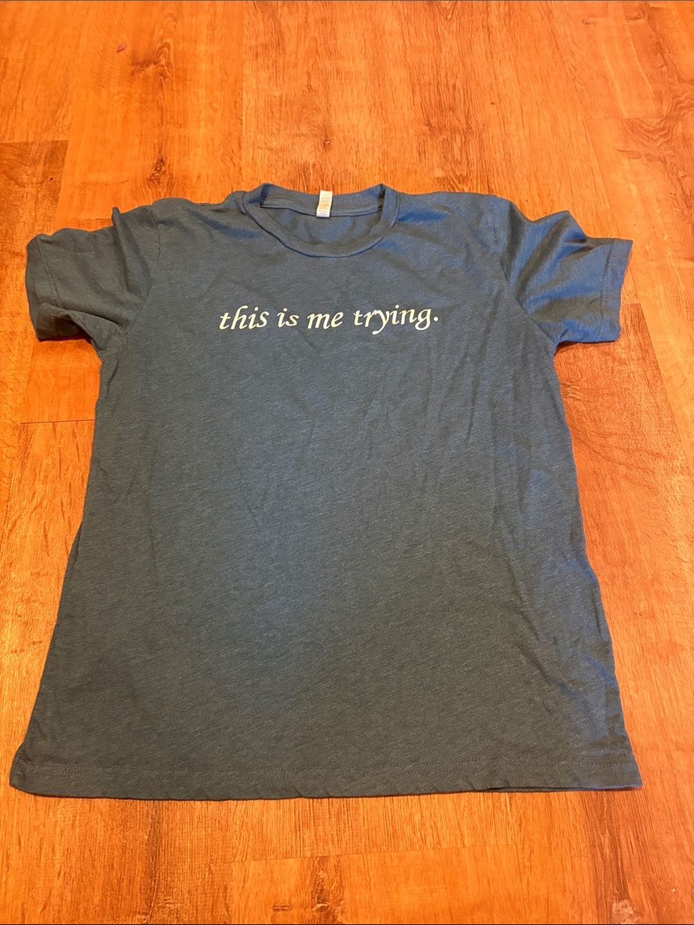 Taylor Swift This Is Me Trying Graphic Tee - Blue
